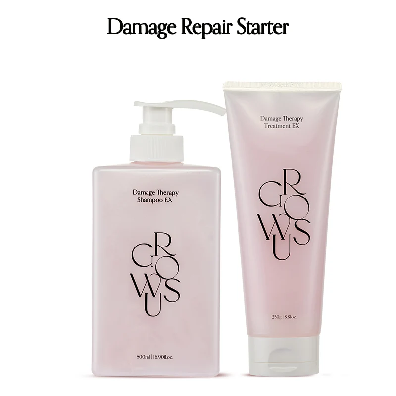 Damage Repair Starter